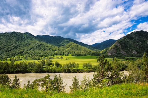 Natureza das montanhas de Altai com o rio Katun, Sibéria na Rússia