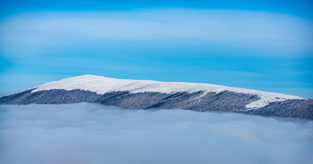 Natureza de inverno para design de banner. Fundo de inverno de neve e geada com espaço livre para sua decoração.