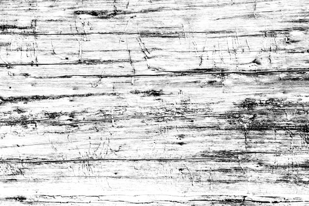 Natureza de madeira preto e branco close-up como plano de fundo