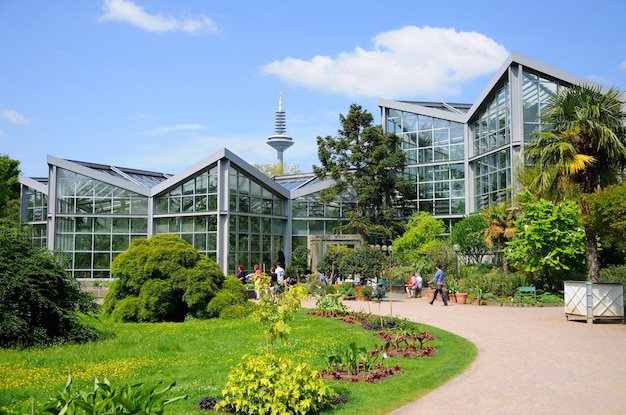 Natureza de Palmen Garten Frankfurt am Main Hessen Alemanha