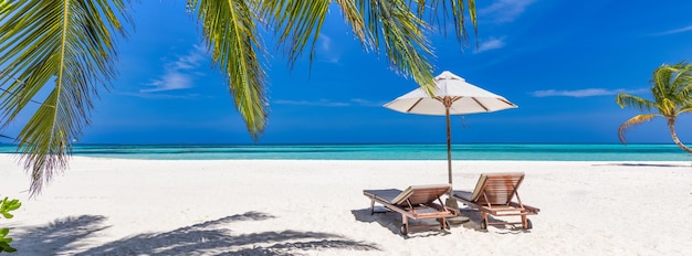 Natureza de praia tropical como paisagem de verão com cadeiras e palmeiras e mar calmo para praia