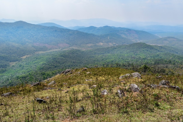 Natureza de verão com paisagem montanhosa