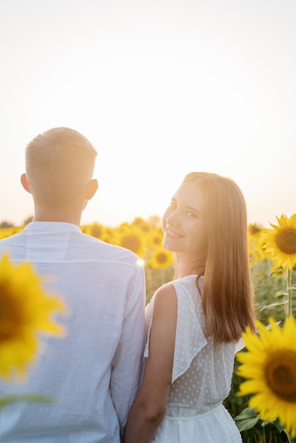 Natureza do outono. Jovem casal romântico caminhando em um campo de girassol ao pôr do sol