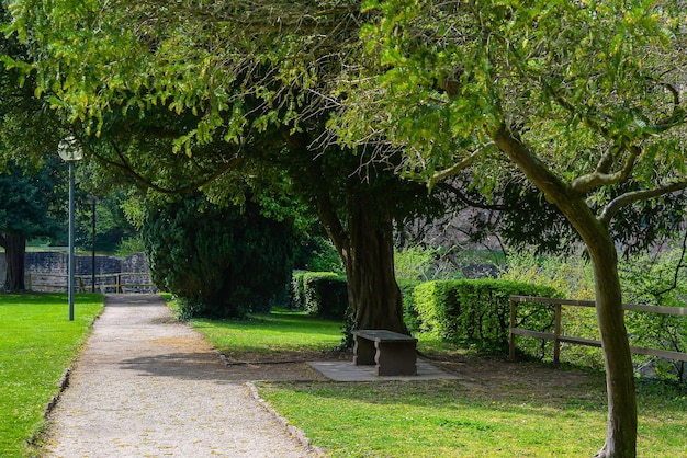 Natureza e paisagem de verãobelo fundo para protetor de tela ou cartão postal