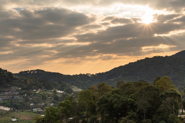 Foto natureza em chiang mai