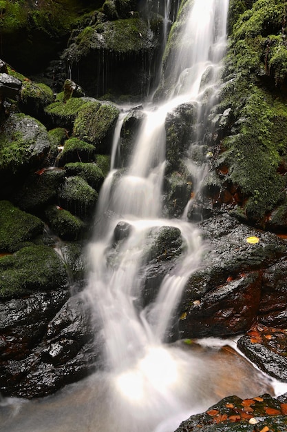 Foto natureza linda pequena cachoeira no riacho fundo colorido natural com água corrente sobre pedras na floresta