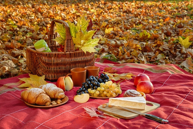 Natureza morta com clima de piquenique de outono. A manta quadriculada contém cesto, uvas, amêndoas, pão, croissant, chávenas, maçãs, faca, tábua de cortar e um pedaço de brie.