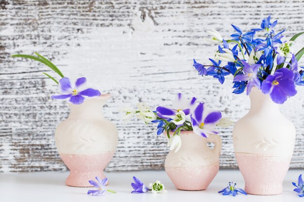 Natureza morta com flores da Primavera azul