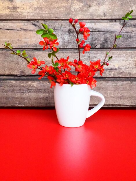 Natureza morta com flores vermelhas e louça Ramos e flores escarlates de chaenomeles em um copo branco com uma alça em uma mesa vermelha no contexto de tábuas de madeira Projeto de cozinha de apartamento