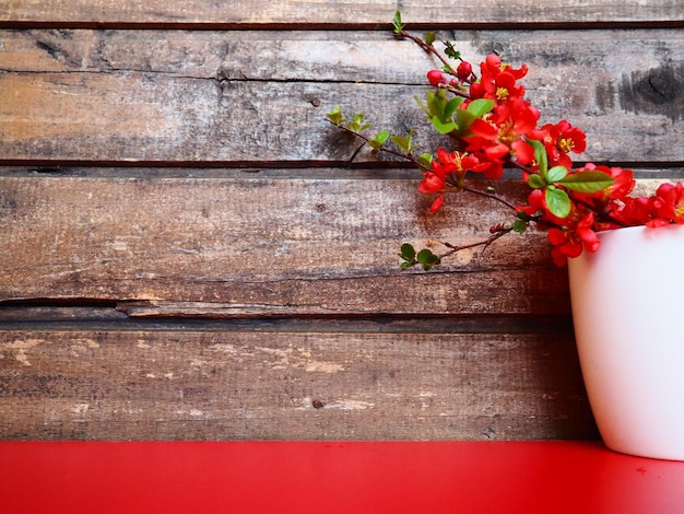 Natureza morta com flores vermelhas e louça Ramos e flores escarlates de chaenomeles em um copo branco com uma alça em uma mesa vermelha no contexto de tábuas de madeira Projeto de cozinha de apartamento