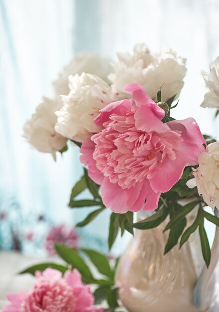 Natureza morta com peônias brancas e rosa em um vaso branco