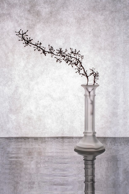 Natureza morta com um galho em um vaso de vidro em um fundo cinza