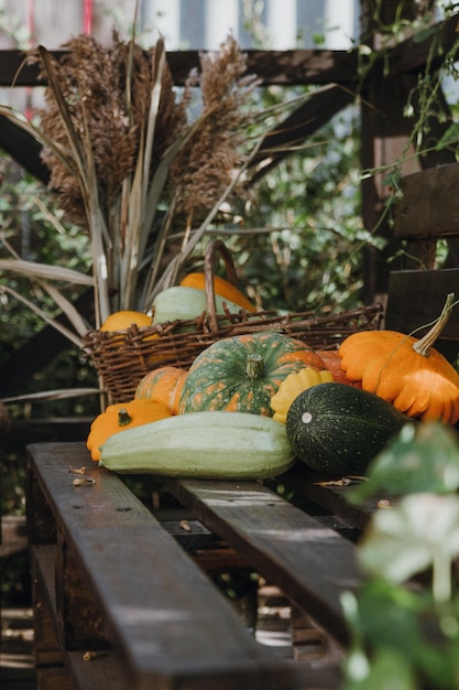 Natureza morta com uma variedade de abóboras e legumes e frutas sazonais Temporada de outono