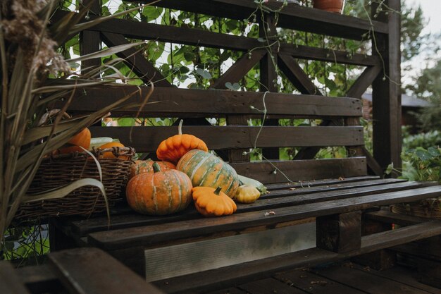 Foto natureza morta com uma variedade de abóboras e legumes e frutas sazonais temporada de outono