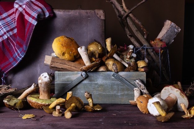 Natureza morta de outono com cogumelos selvagens