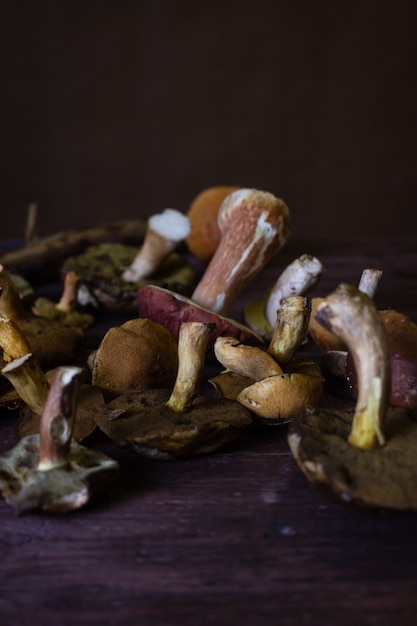 Foto natureza morta de outono com cogumelos selvagens