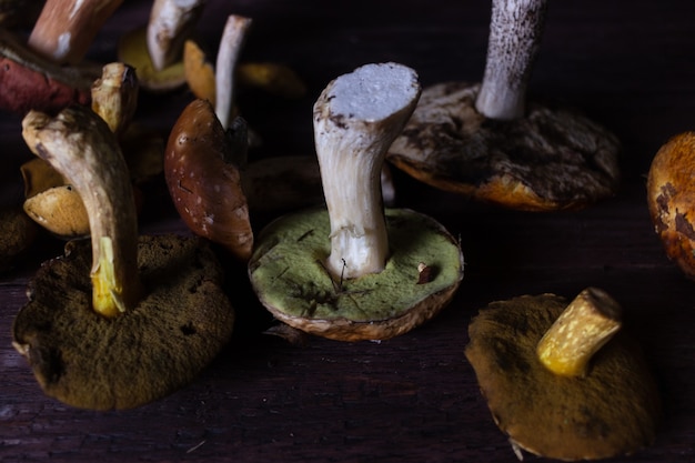 Foto natureza morta de outono com cogumelos selvagens