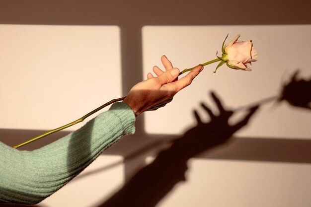 Foto natureza morta de sant jordi para o dia dos livros e das rosas