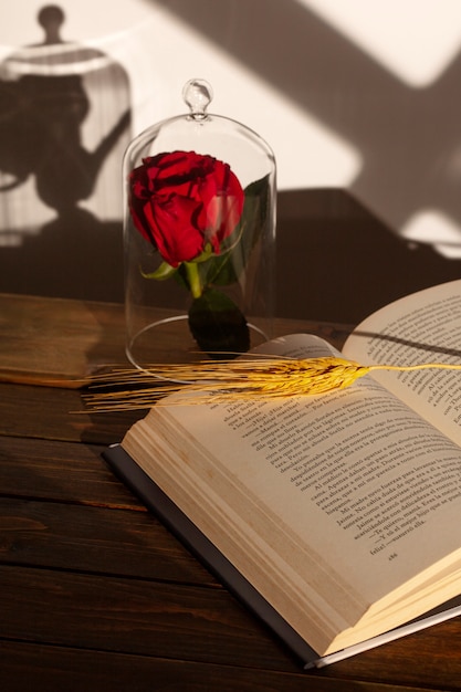 Foto natureza morta de sant jordi para o dia dos livros e das rosas