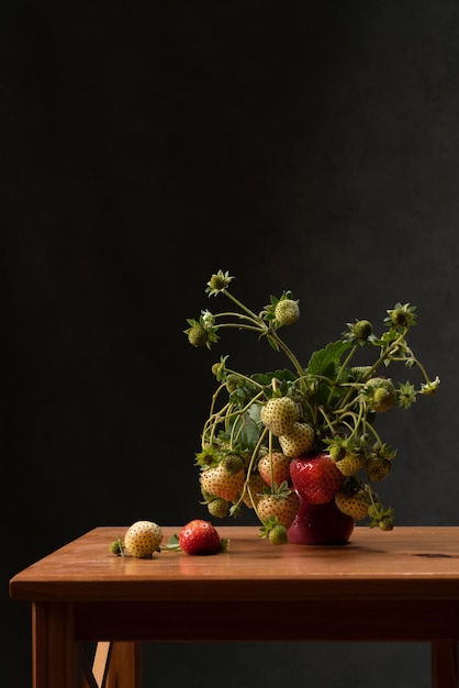 Natureza morta Um arbusto de morangos maduros e verdes A última colheita de outono é em novembro Fundo escuro Eco Vegan Em uma mesa de madeira