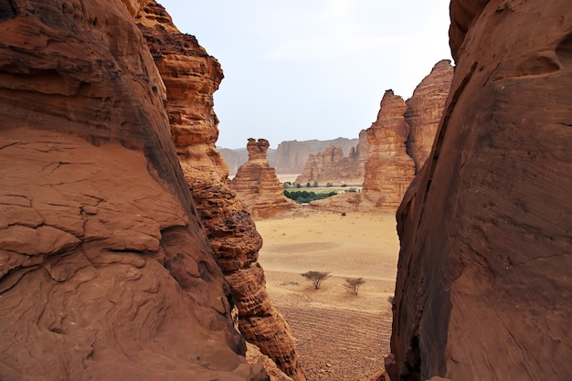 Natureza no deserto perto de al ula, arábia saudita