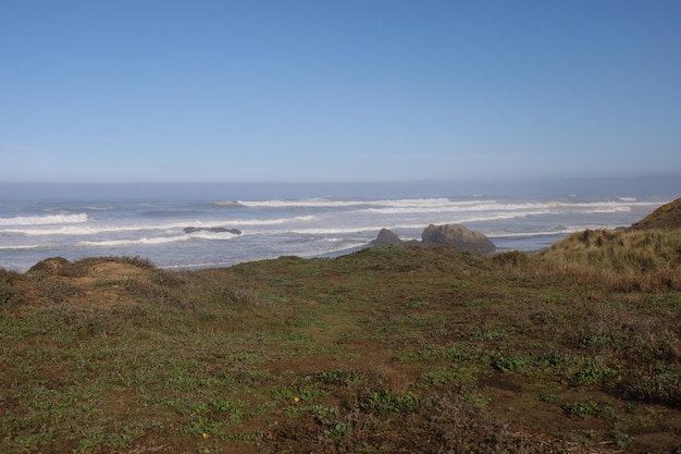 Natureza nos parques de Mendocino na Califórnia