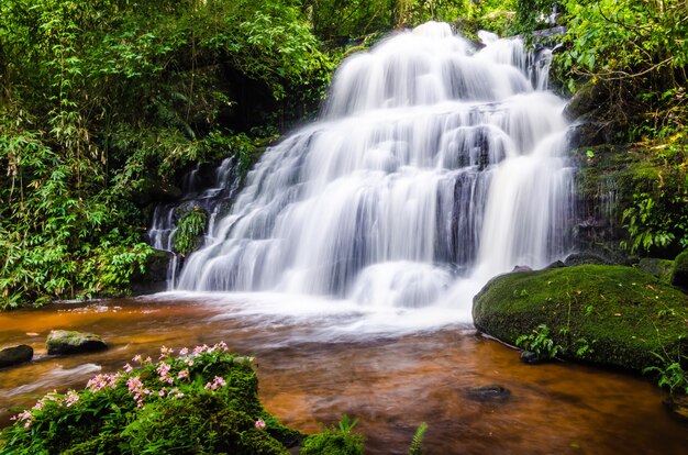 Foto natureza paisagem de cachoeira escondida na floresta