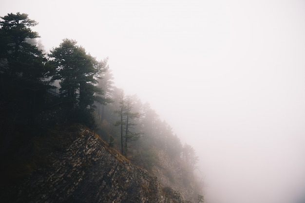 Natureza Paisagem de uma floresta nublada e uma colina com atmosfera temperamental nas montanhas no inverno