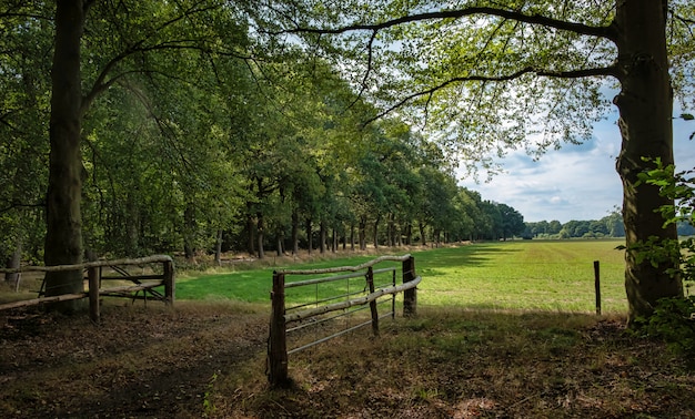 Natureza rural holandesa