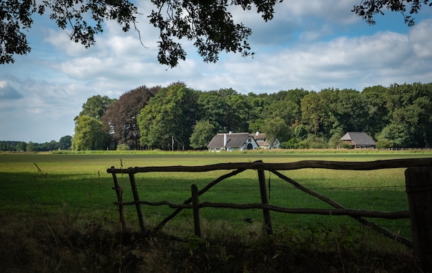 Foto natureza rural holandesa