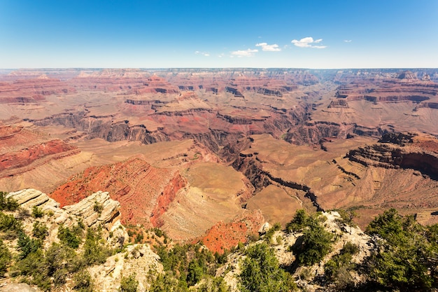 Natureza selvagem do parque nacional do grand canyon