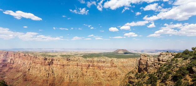 Natureza selvagem do Parque Nacional do Grand Canyon