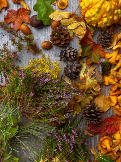 Natureza temporada outono conceito diferentes folhas de outono secas caídas castanhas bolotas abóbora chanterelles cone de cogumelo em fundo de madeira