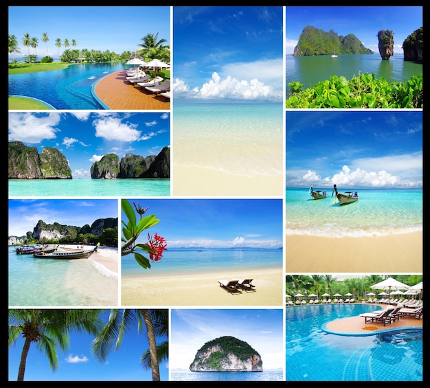 natureza tropical