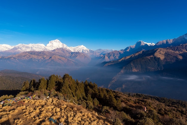 Natureza vista da cordilheira do Himalaia no ponto de vista de Poon hill, Nepal.