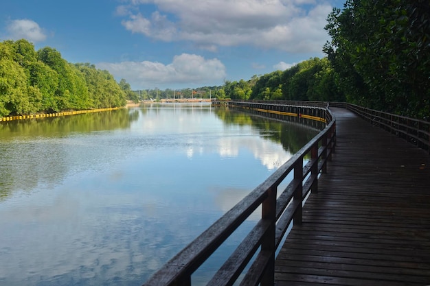 naturezaVista da paisagem Há belos rios e florestas naturais