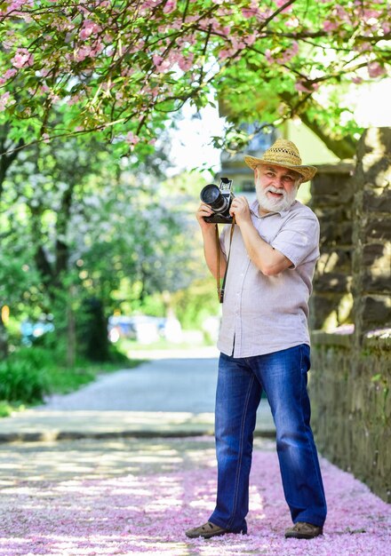 Naturforscher-Konzept Frühlingsferien Freizeit genießen Wandern auf seiner Lieblingsstraße Älterer Mann hält Kamera Frühlings-Sakura-Blüte Reisen und Tourismus Fotograf im Garten Frühlingsschönheit einfangen