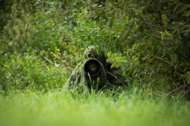 Foto naturfotograf mit einem großen objektiv, das sich unter einem grünen tarnnetz versteckt