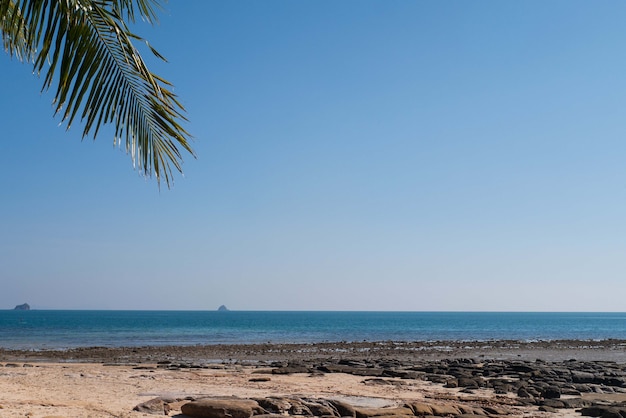 Foto naturhintergrund der felsigen strandwelle und -küste, kokospalme, klarer blauer himmel mit wolke und sonnenlicht-wasseroberfläche für urlaubsentspannung lifestyle-landschaftskonzept