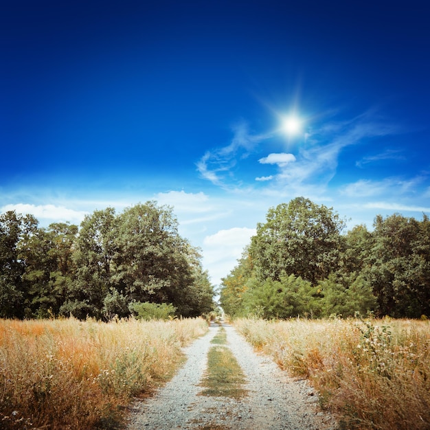 Naturhintergrund der Landstraße