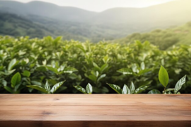 Naturhintergrundkonzept mit einem Holztisch oder Schreibtisch mit Teeplantage als Rahmen für die Anzeige