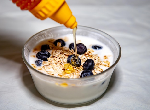 Naturjoghurt mit blauen Beeren Haferflocken und Honig gesundes natürliches Probiotikum