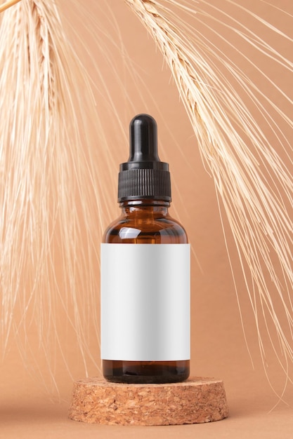 Naturkosmetik aus Weizen und Gerste Kosmetikflasche mit Serum und Weizenohren auf beigem Hintergrund