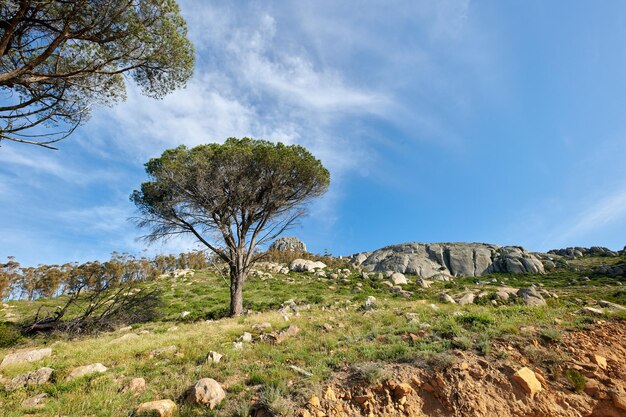 Naturlandschaft Blick auf die Berge in der Natur Szenischer Blick auf felsige Hügel und grasbewachsenes Gelände an einem sonnigen Tag im Freien Großer blauer Himmelshintergrund mit viel Grün und kleinen getrennten Wolken draußen