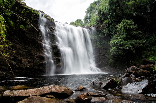 Naturlandschaft des im Wald versteckten Wasserfalls