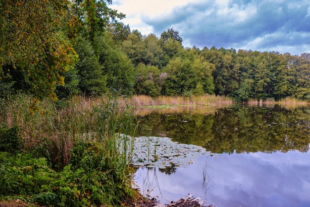 Naturlandschaft des Sees High Definition die Bewegung der Wellen vor dem Hintergrund des herbstlichen Waldes Die Reflexion der Wolken auf den Wellen des Wassers Deutschland