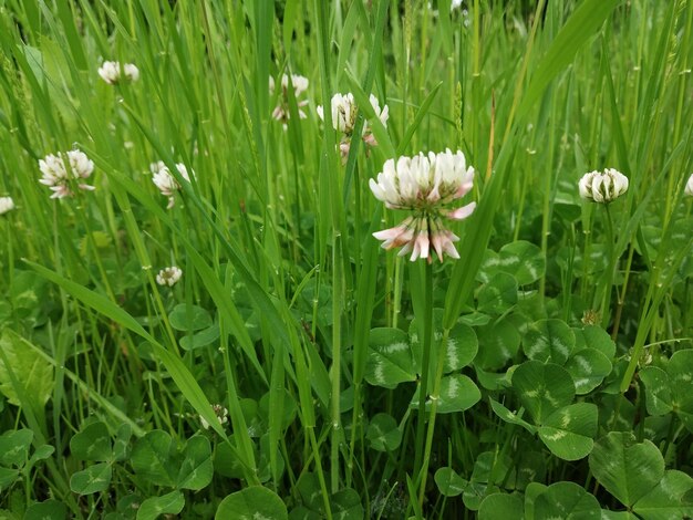 Naturlandschaft saisonal