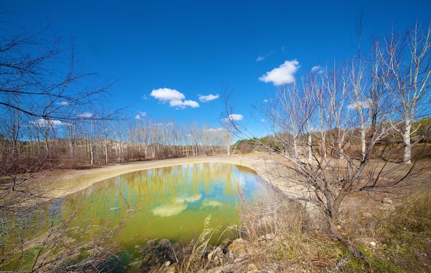 Naturlandschaft. Seenlandschaft mit toten Bäumen