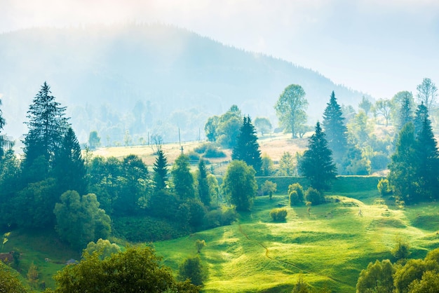 Naturlandschaft von grünen Hügeln