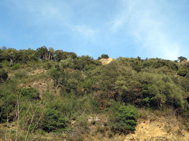 Naturlandschaft von Katalonien, Spanien, felsige Hänge, dornige Büsche